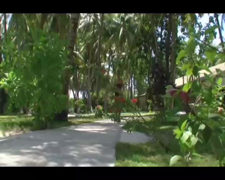 Wonderful Pussy Masturbates in Dildo in Front of Friend