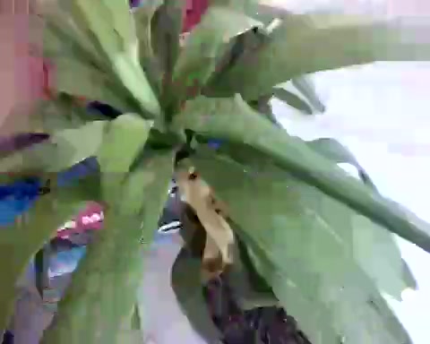 Friend Spy Films Amateur Couple Fucking in the Bedroom