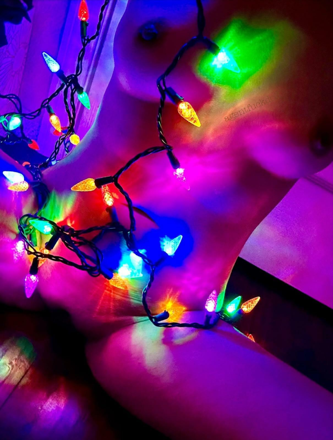 I think I need help with these Christmas lights ?